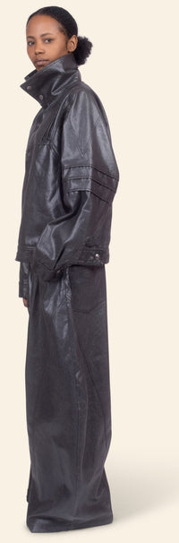 Dana Coated Denim Pants